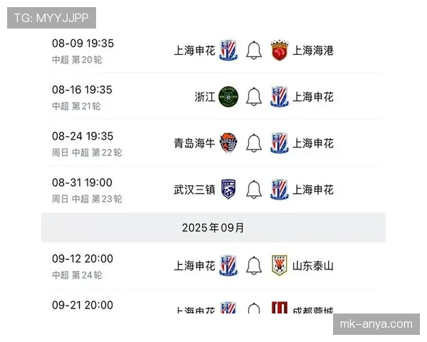 上海申花面临关键赛程考验，球队轮换策略备受关注